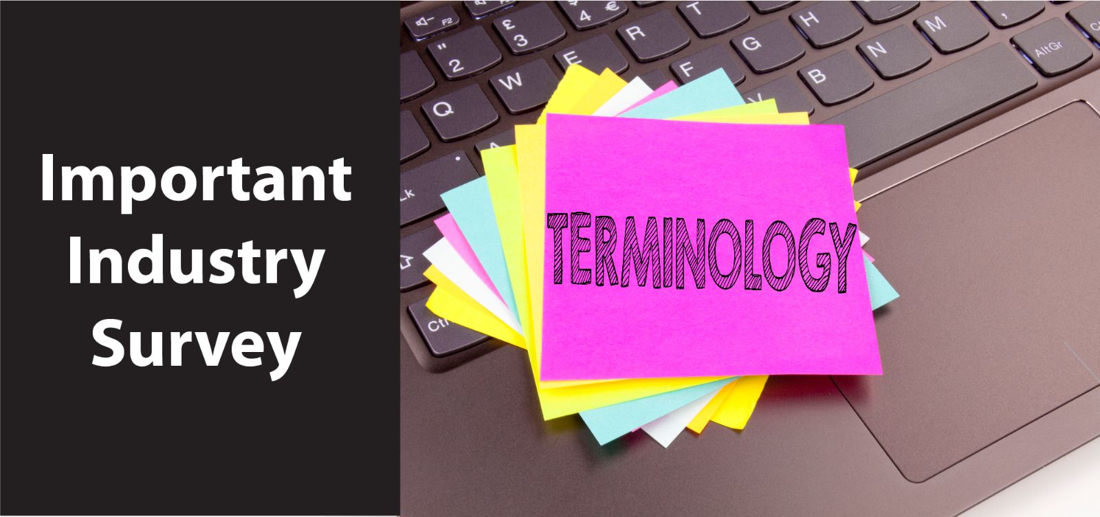 Industry%20survey%20graphic.jpg